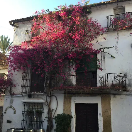 Atico Milla De Oro * Marbella